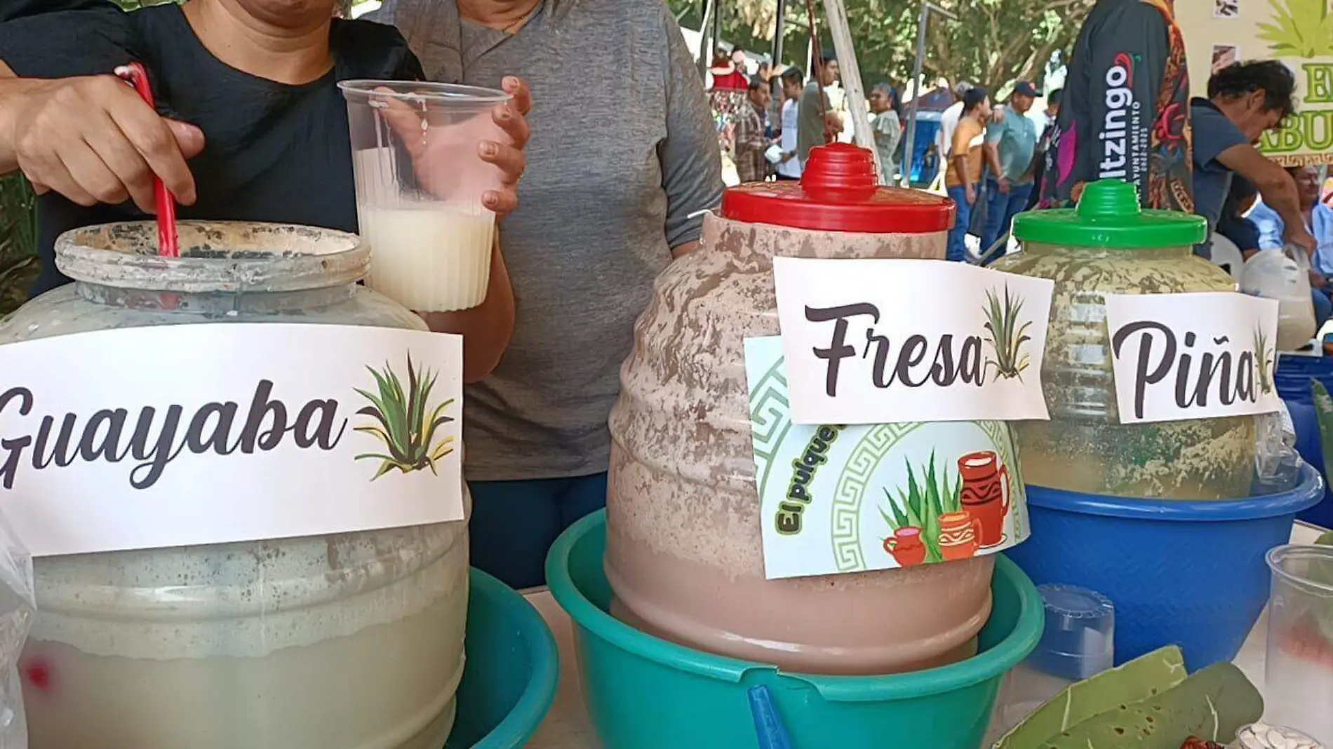 Festival del pulque